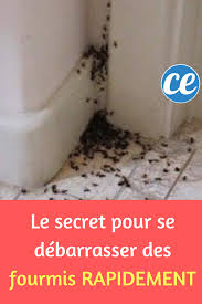 Epingle Sur Anti Fourmis
