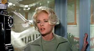 alfred hitchcock photo original the birds the birds movie alfred hitchcock the birds tippi hedren