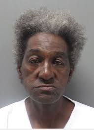 Monroe man accused of shooting, killing his girlfriend