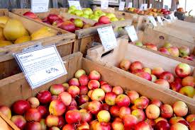 The Very Best Pie Apples King Arthur Flour