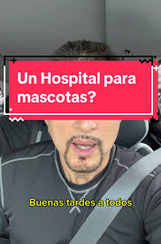 Uds que opinan? #mascotas #hospital #saludpublica #derechohumano