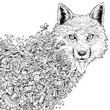 Ace506f11b88133dfe7e2775ae006643 Jpg 736 736 Animorphia Coloring Book Fox Coloring Page Animorphia Coloring