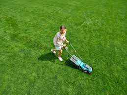 (wann) das zweite mal rasenmähen? Wann Rasenmahen Nach Neuansaat