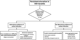 Basics of hsv (herpes simplex virus) keratitis. Update On Herpes Simplex Keratitis Management Eye