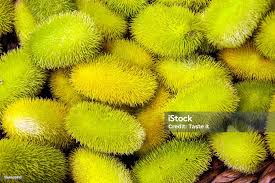 Image result for Cucumis anguria
