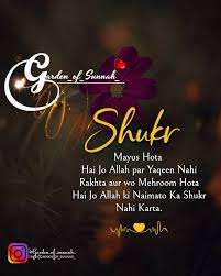 New Islamic Status In Hindi Islamic Images Islamic Quote In Hindi In 2020 Islamic Inspirational Quotes Family Love Quotes Muslim Love Quotes