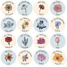 A Tired Sophomore Flower Sketches Flower Names Flower Drawing