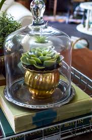 Simply plant wheatgrass (available at garden stores or flower shops) in milk glass vessels bonus, thy are made with an item you probably already have in your house: Plant Lady Coffee Table Decor Ideas Salvaged Living