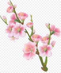 There are many specific kinds of crafts and one this is gaining recognition is flower crafts. National Cherry Blossom Festival Blume Zeichnen Pfirsich Blume Png Herunterladen 1240 1461 Kostenlos Transparent Rosa Png Herunterladen
