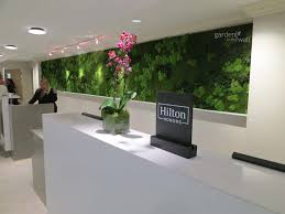 Vertical gardens (otherwise known as living walls) are all the rage right now. Vertical Garden Preserved Plants For Interior Walls Planters Ceilings