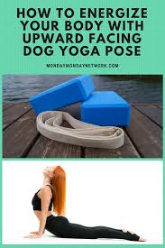 New Study Shows Meditation And Yoga Reduce Health Care By 43 Yoga Poses Teach Yoga Online Dog Yoga
