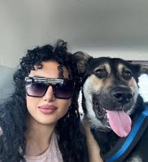 Foster home needed for german shepherd mix dog