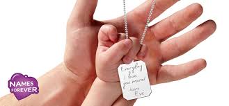 Herz aus pappteller mit getrockneten blüten: Erster Vatertag Unsere Geschenke Tipps