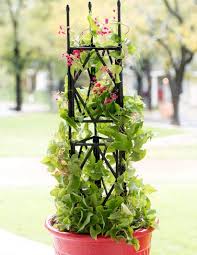 Check spelling or type a new query. Top 10 Best Diamond Garden Trellises 2021 Bestgamingpro