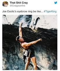 #insert that joe exotic meme #i need my inhaler #i would give up everything for fletcher. 40 Tiger King Memes To Distract You From Lockdown Good Bad Marketing