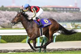 マイルチャンピオンシップ, グランアレグリア, サリオス 22日には、阪神 競 馬場 で秋の マイル 王決定戦となる マイルcs （g1）が開催される。 今年は登録17頭のうち8頭がg1馬という超豪華メンバーがそろった。 ã‚°ãƒ©ãƒ³ã‚¢ãƒ¬ã‚°ãƒªã‚¢ã¯ãƒžã‚¤ãƒ«csã§è² ã'ã‚‹ã¨æ€ã†