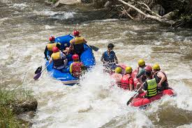 We did not find results for: Wallpaper Sports People Boat Women Portrait Vehicle Helmet River Happy Thailand Family Spray Oar Raft Rafting Mountain Girl Hard Woman Splash Action Funny Fun Sexy Kayak Canoe Droplet Rapid Creek Adventure