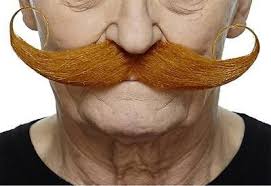 The hairs can be tied together onto a lace piece, laid directly onto a performer's face, punched into a prosthetic piece, or glued onto a fake. Our Best Large Curly Moustache Ginger Fake Mustaches Mustache Beard No Mustache