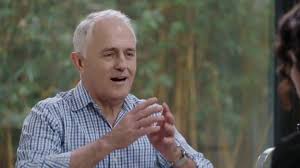 Deputy labor leader tanya plibersek was handed a rat on campaign trail Federal Election 2016 Malcolm Turnbull On Abc S Kitchen Cabinet