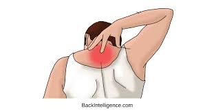 Pulled Upper Back Muscle Upper Back Muscles Muscle Natural Treatments