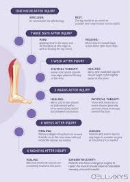 Muscle strain occurs when a muscle becomes overstretched or works too hard. Calf Strain Recovery Time Cellaxys