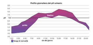 Lo sono ad esempio le carni, i latticini, le leguminose secche, la frutta secca, i cereali, il cioccolato. Biohealth Italia L Metionina