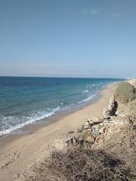 Road in ashkelon national park. Ashkelon National Park Picture Of Ashkelon National Park Ashkelon Tripadvisor