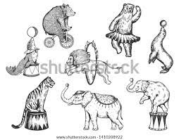 Retro Circus Animals Performance Set R Stock Vector (Royalty Free)  1410208922 | Shutterstock