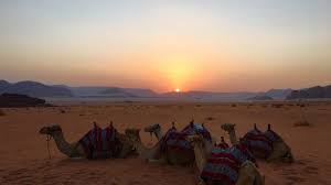 209 users · 2,229 views. 9 Things To Do With Kids In Wadi Rum Jordan Desert Travelingmom