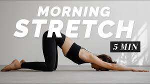 We did not find results for: 5 Min Morning Stretch Full Body Flexibility Routine For Beginner Youtube