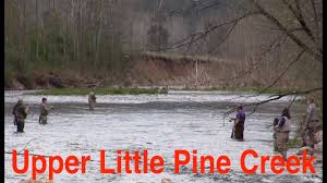 trout fishing pennsylvanias upper little pine creek