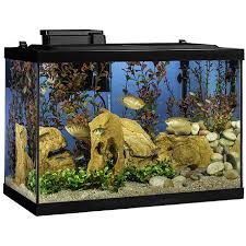 Fish Tanks Aquariums Bowls Walmart Com