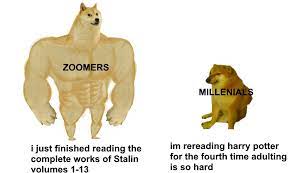 If you watch the news you'll see that many gen z people are very concerned over climate change, which the term boomer is meant to describe a person who is older and doesn't care much about the world. Gen Z Is Roasting Millennials With Laser Like Precision Know Your Meme