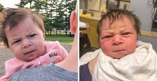 Shiwaw songs اغاني شيواو