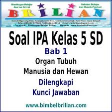 Soal ini pastinya sudah disusun berjumlah 50 soal yang mana sudah dilengkapi dengan kunci jawabannya. Kumpulan Soal Ipa Kelas 5 Sd Pecahan Organ Badan Insan Dan Binatang Dan Kunci Jawaban Raja Soal