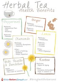 A Handy Herbal Tea Chart For Alleviating Ailments Food
