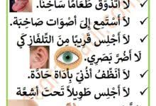 من أين أبدأ قصتي download. Ù…Ø³Ø±Ø­ÙŠØ© Ø§Ù„Ø­Ù…Ø§Ù…Ø© Ùˆ Ø§Ù„Ù†Ù…Ù„Ø© Ù…Ø­ÙˆØ± Ø§Ù„ØªØ¹Ø§ÙˆÙ† Ù…ÙˆÙ‚Ø¹ Ù…Ø¯Ø±Ø³ØªÙŠ