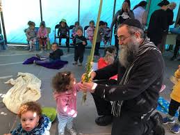 Image result for child with lulav