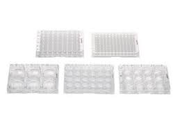 On your kindle in under a minute. Tissue Culture Dishes 35 Mm Biocompare