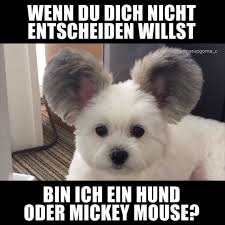 Das format ersetzte die sendungen punkt 6. Guten Morgen Deutschland Hund Oder Mickey Mouse Facebook