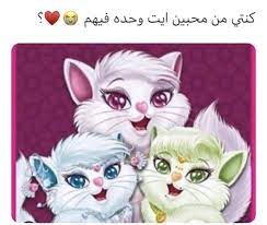 لولو كاتي سوسو كاتي ميمي كاتي ثلاث قطط صغيرة اسمهم كاتي anime funny anime art reference