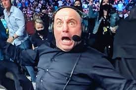 The ultimate fighting championship's return to unrestricted full house live events, however you may. Z7s63drm9p1acm