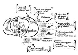 The Ayurveda Guide Pitta Dosha Healthy Ayurveda The classic ayurvedic text charaka samhita says that when pitta is in balance within any individual, according to their prakruti or constitution, their blood will be healthy and.