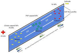 Cpd works with java, jsp, c/c++, c#, go, kotlin, ruby, swift and many more languages. Nanomaterials Free Full Text Current Application Of Capillary Electrophoresis In Nanomaterial Characterisation And Its Potential To Characterise The Protein And Small Molecule Corona Html