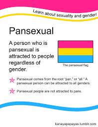 Meaning of pansexual in english. Pin On L G B T Q