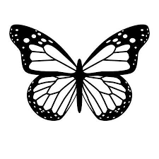 Jun 09, 2021 · 63. A Black And White Vector Butterfly Simple Butterfly Tattoo Butterflies Vector Butterfly Drawing