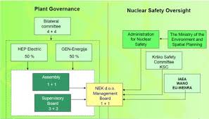 Organizational Structure Of The Joint Venture Download