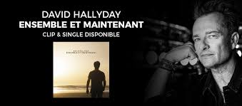 David hallyday a enflammé la salle pleyel le vendredi 4 octobre 2019 avant de partir en tournée en 2020. Cover Photos
