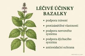 Image result for foto moud Forsterův