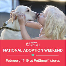 Opening hours for adoption & foster care in charlotte, nc. Petsmart Pet Adoption Weekend In Charlotte Feb 17 19 Pet Adoption Pets Petsmart